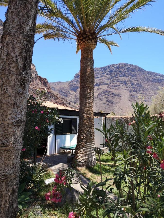 Finca Gerardo Miraflor La Playa de la Calera Dış mekan fotoğraf
